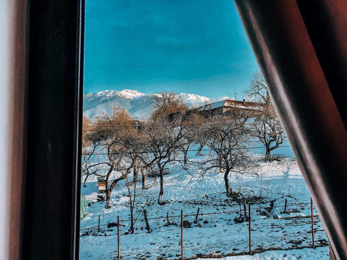 Transylvania Mountain View Cdi Otel Bran  Dış mekan fotoğraf