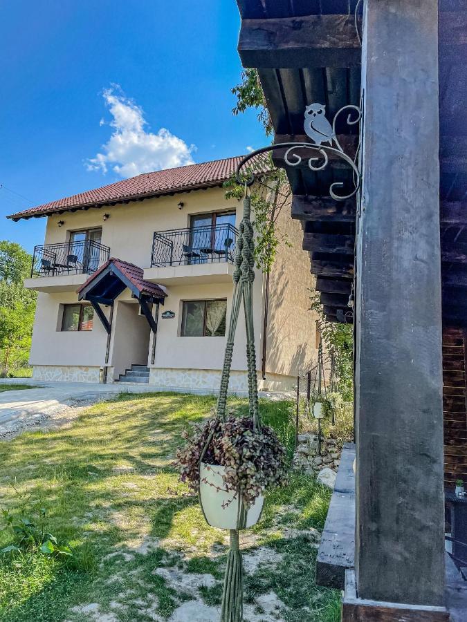 Transylvania Mountain View Cdi Otel Bran  Dış mekan fotoğraf