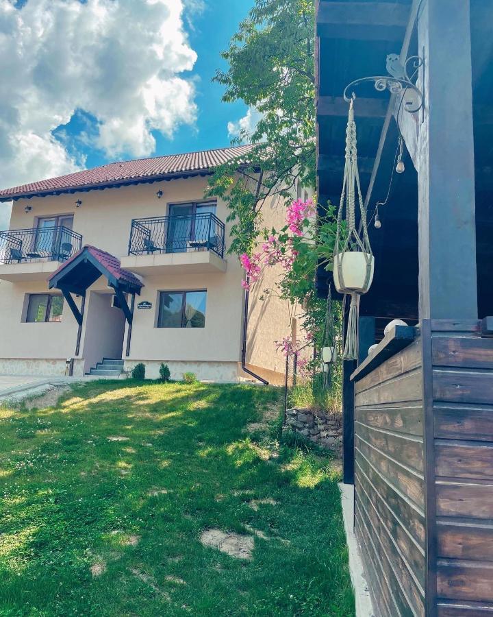 Transylvania Mountain View Cdi Bran  Dış mekan fotoğraf