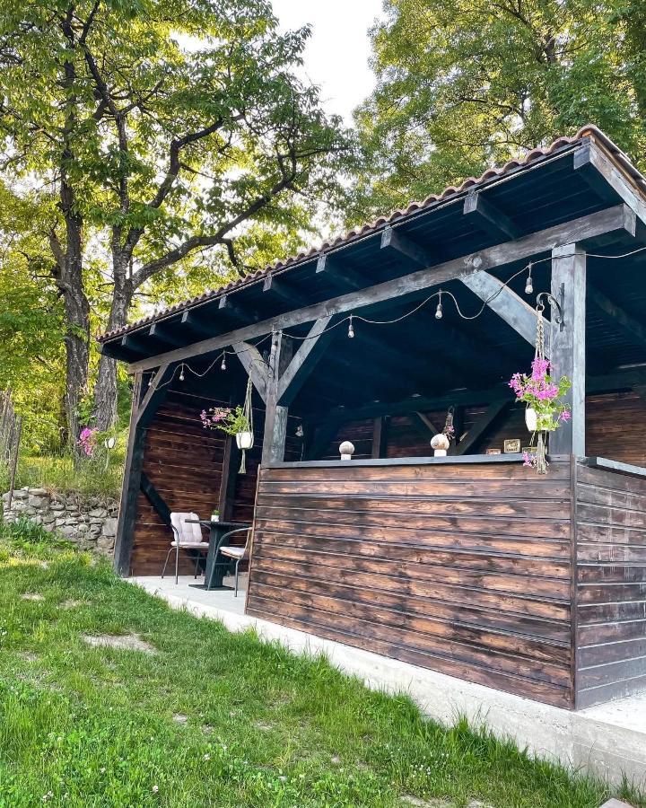 Transylvania Mountain View Cdi Bran  Dış mekan fotoğraf